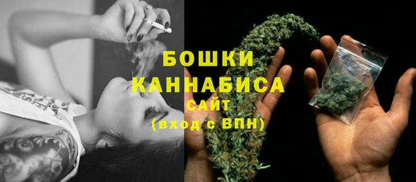 spice Арсеньев