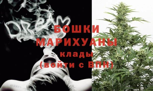 spice Арсеньев