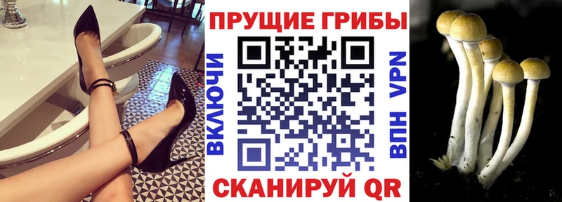 кракен ТОР  Спасск  Галлюциногенные грибы MAGIC MUSHROOMS 